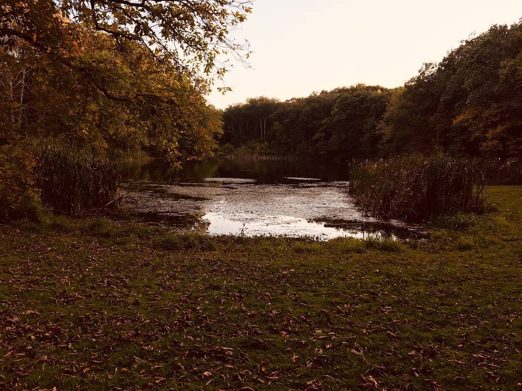 Vertical photo