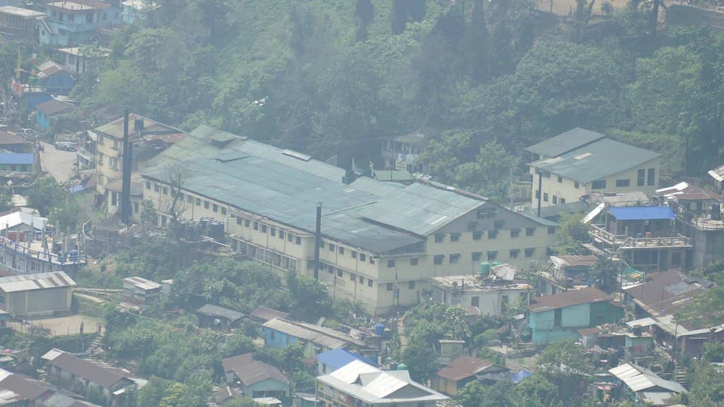 Exploring the Lush Tea Gardens