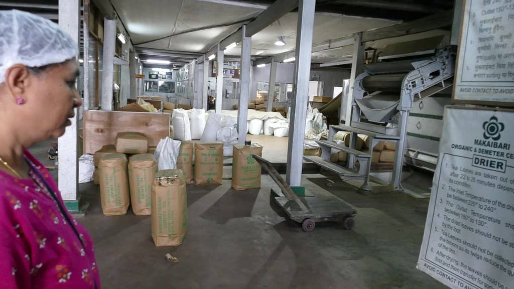 Tea Tasting Sessions