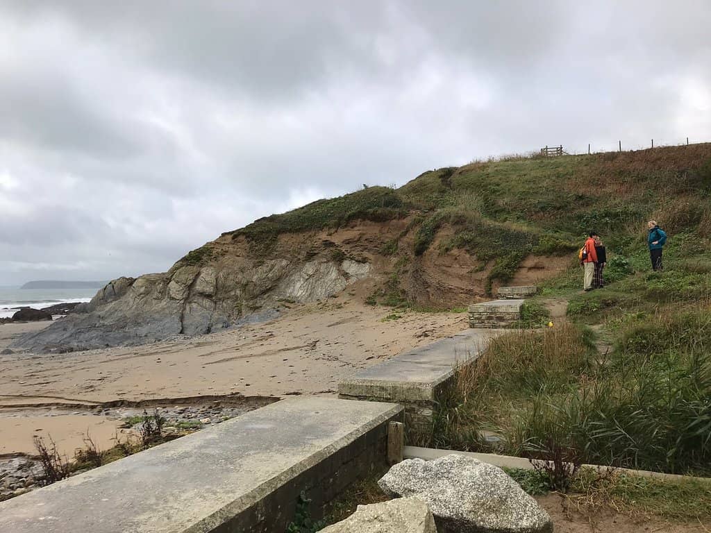 Rock Pool Discoveries