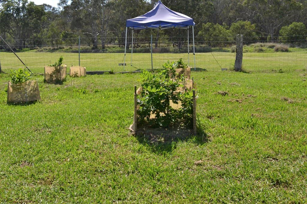 Local Produce Showcase