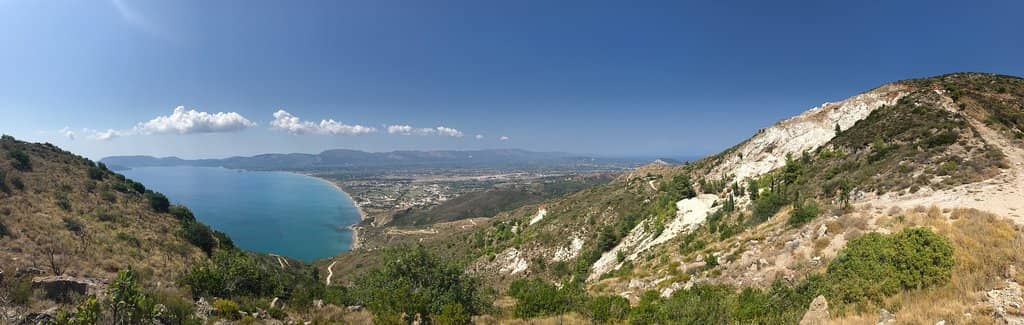 Caretta Caretta Turtles