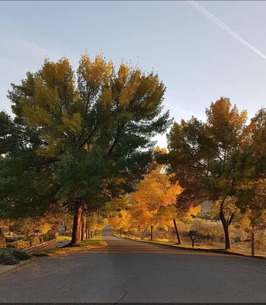 Wedding & Event Venue