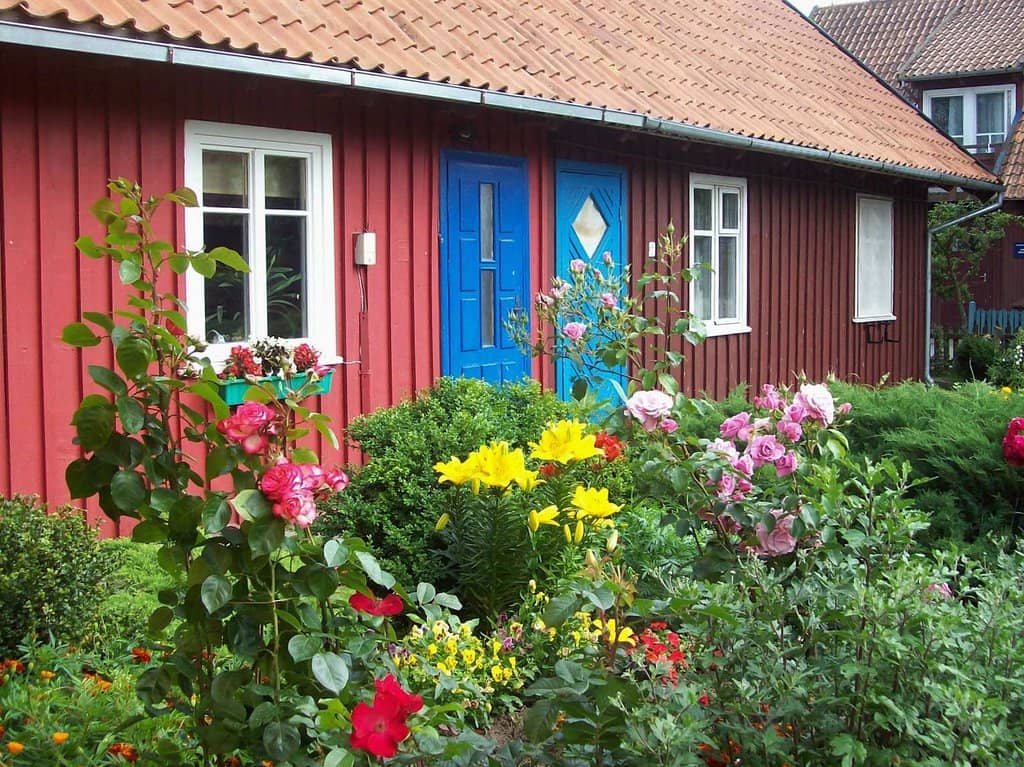 Local Fish Delicacies