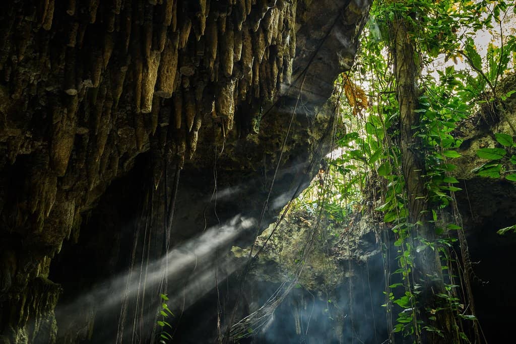 Crystal Clear Waters