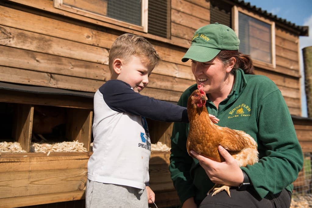 Playgrounds & Soft Play
