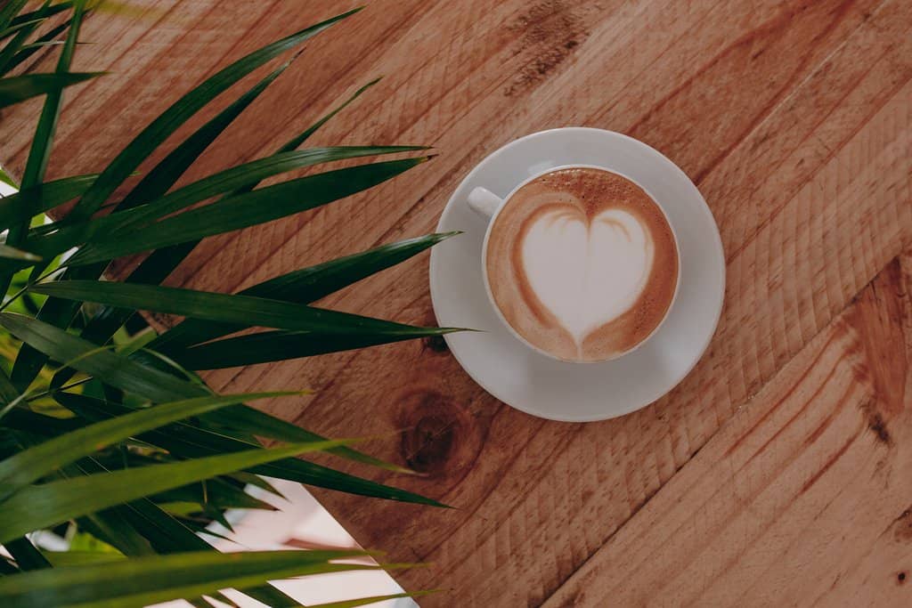 Authentic Italian Cuisine