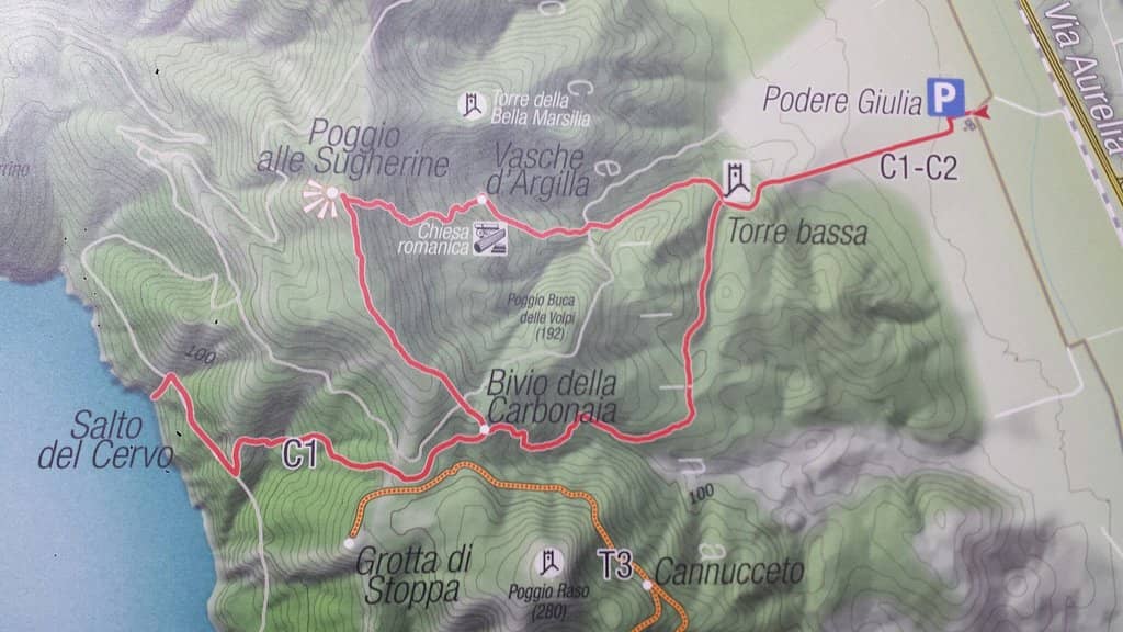 Maremma Shepherd Dog