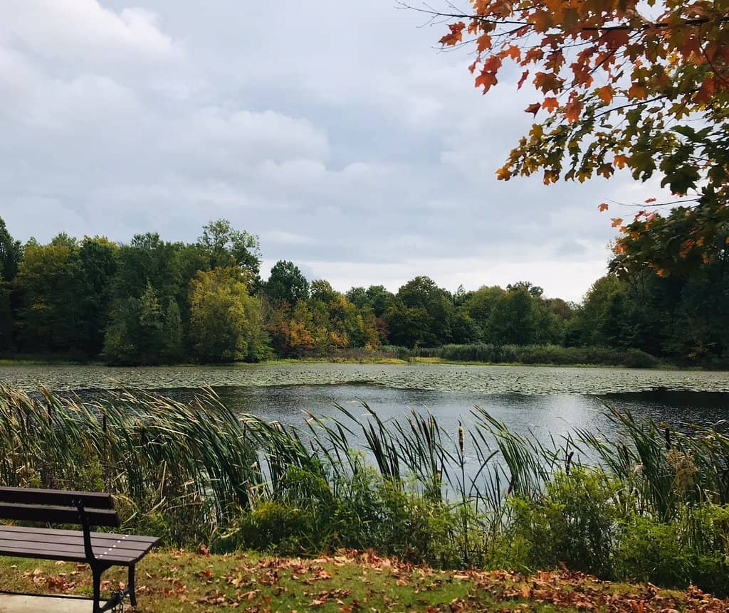 The Anesthesia Monument
