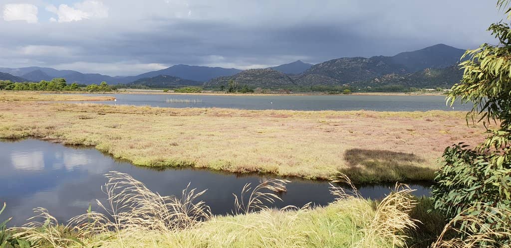 Birdwatching Paradise