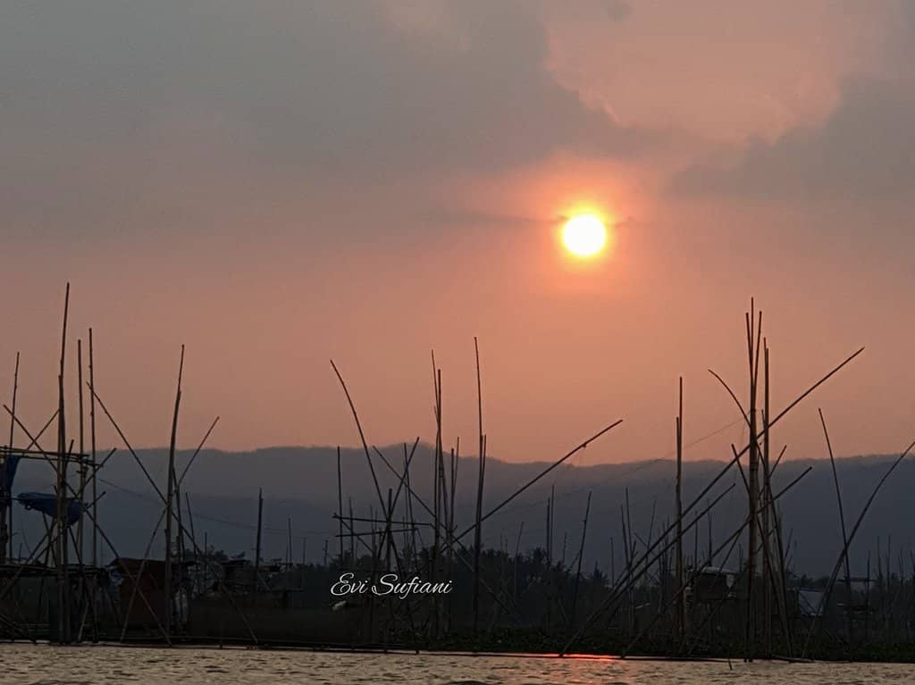 Savanna Rawa Pening