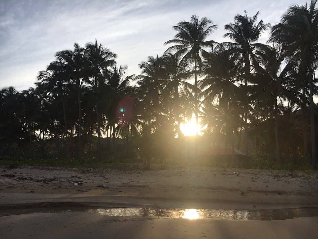 Natural White Sand Shores