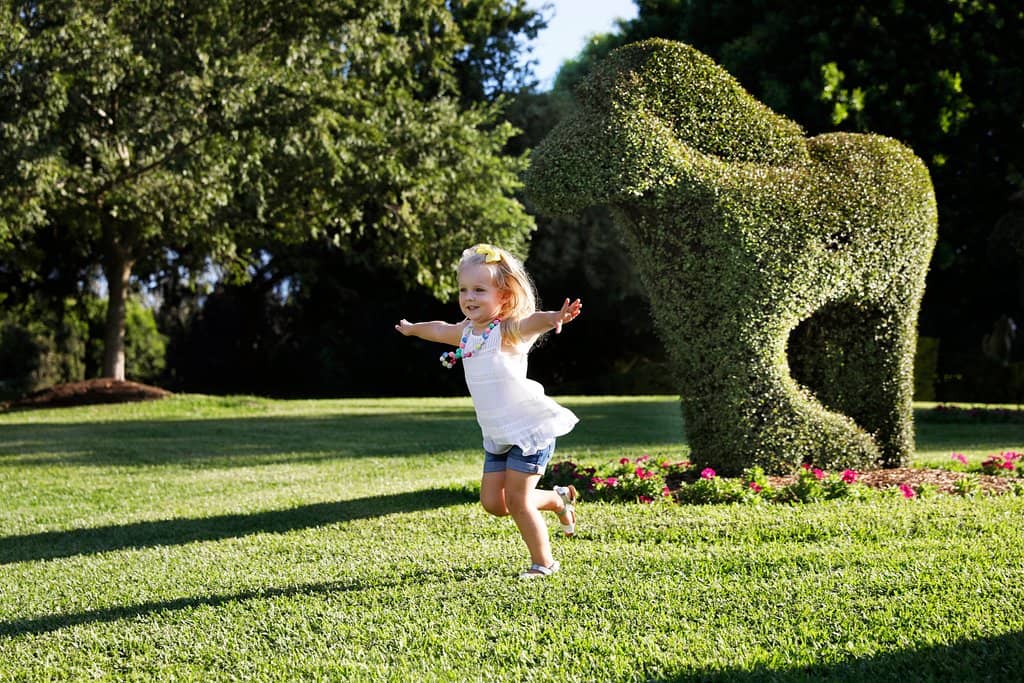 Themed Gardens