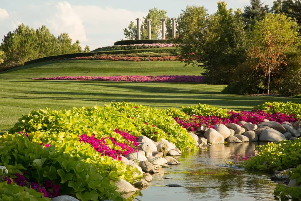 Tulip Festival Spectacle