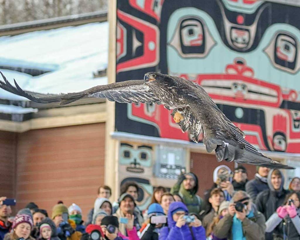 Educational Information Kiosks