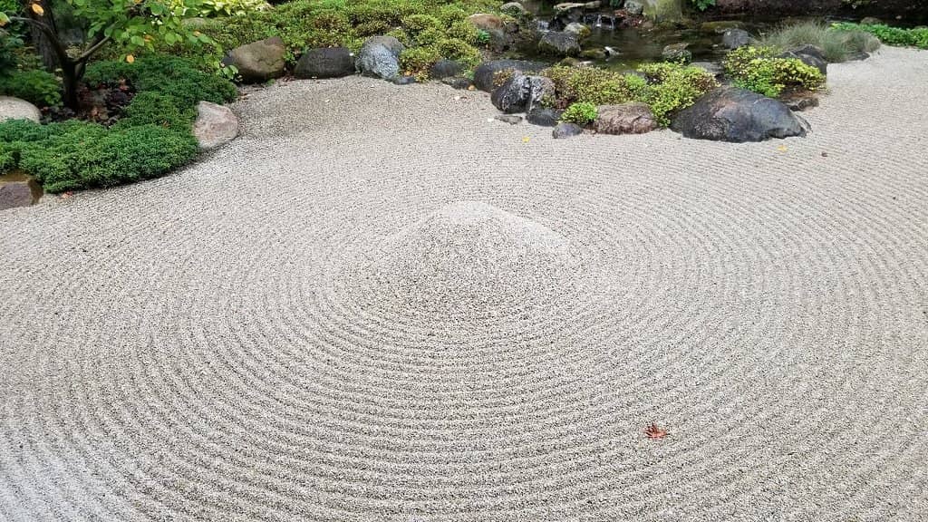 Bo Tree of Enlightenment