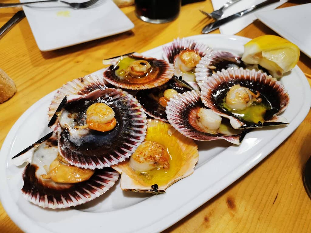 Cozy Ambiance Under the Vines