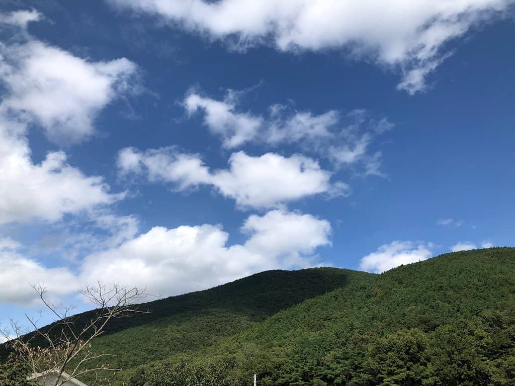 Traditional Korean Architecture