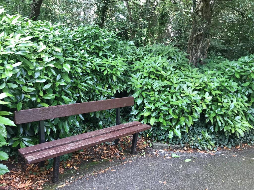 Interactive Art Installations