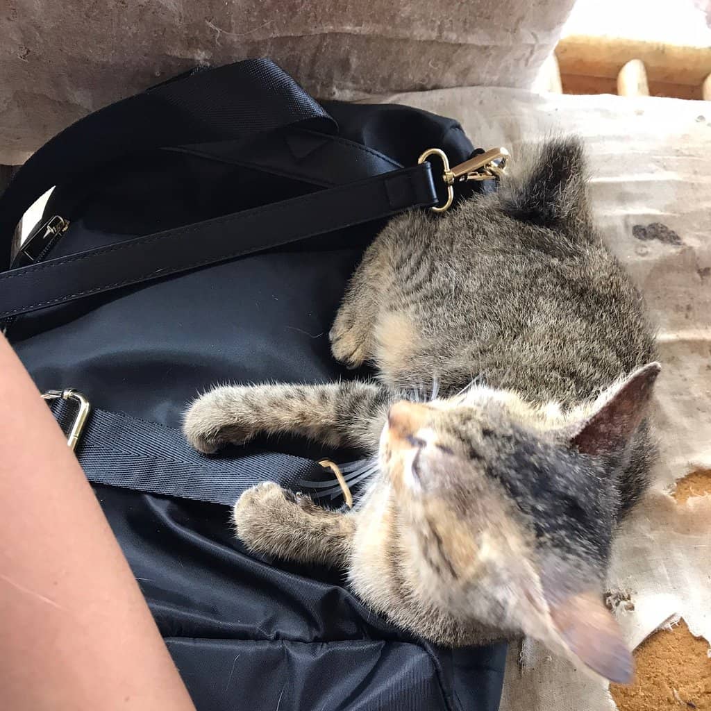 Penang National Park