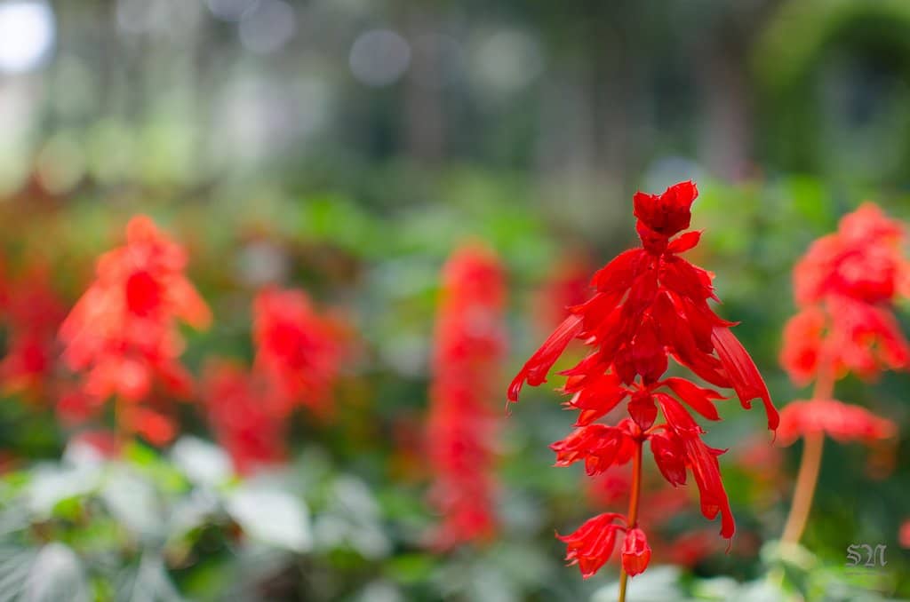 Panoramic Hill Views