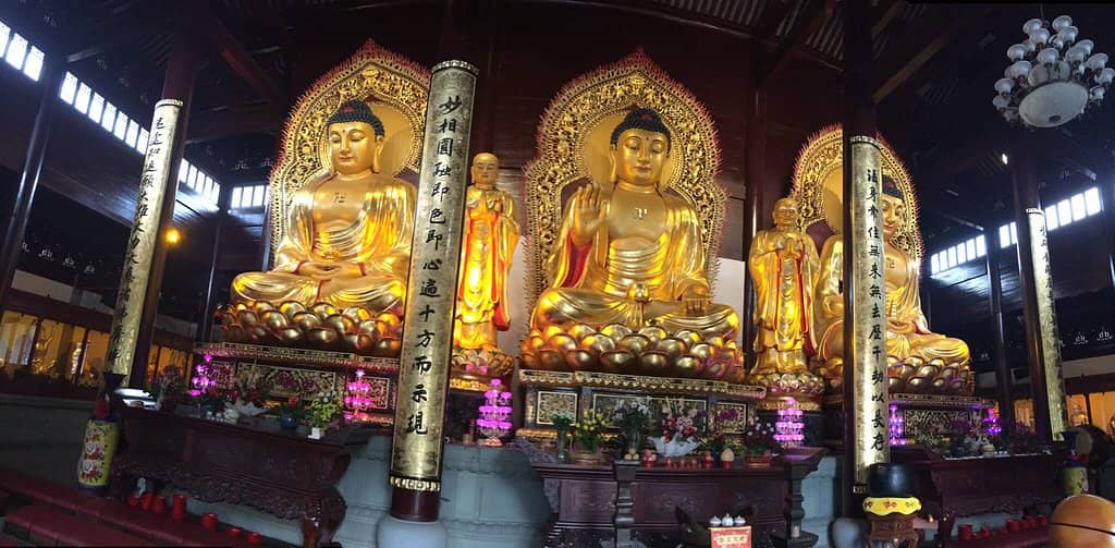 King Ashoka's Legacy