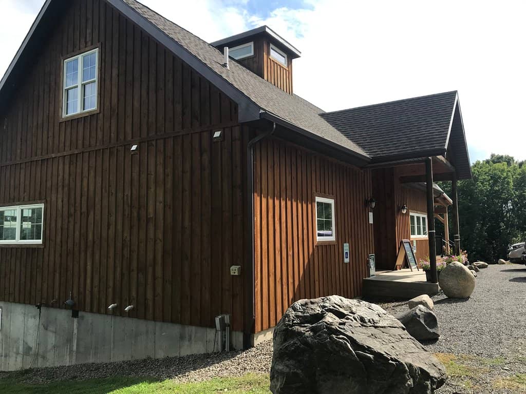 Dog-Friendly Atmosphere