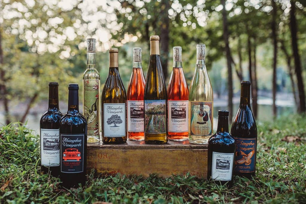 Riverside Relaxation