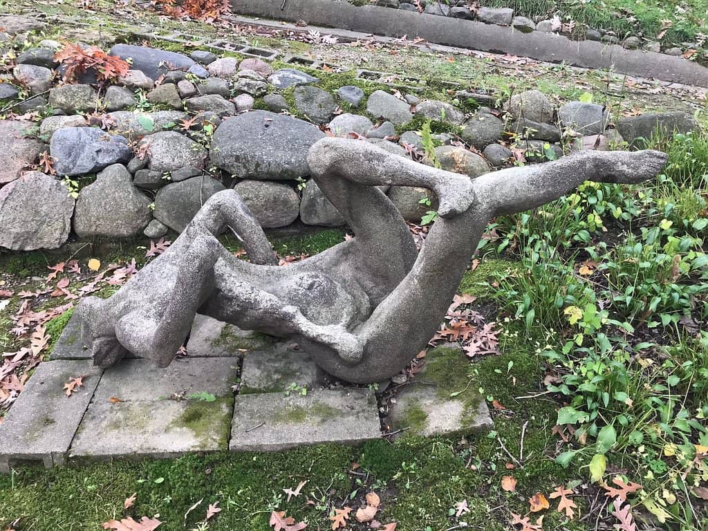 Lush Greenery and Wildlife