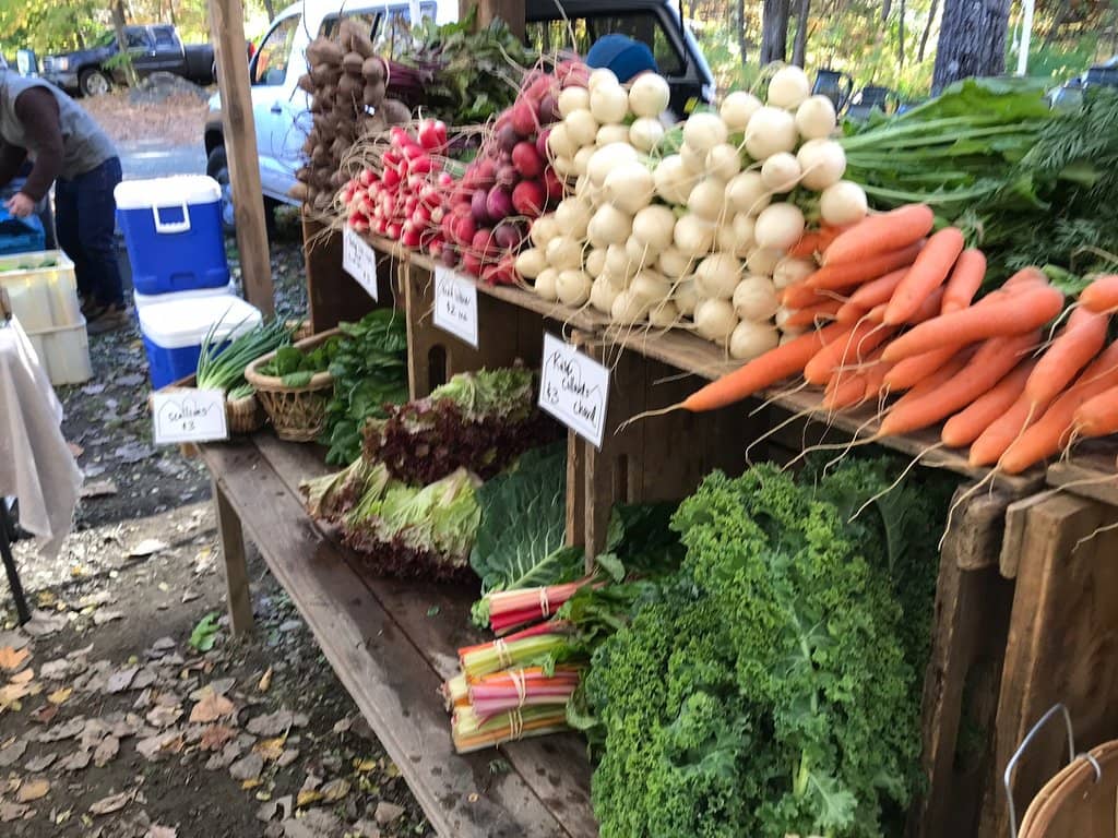 Live Music Performances