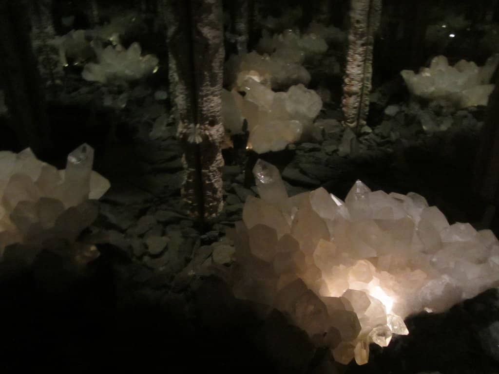 Elli Riehl's Puppet Collection