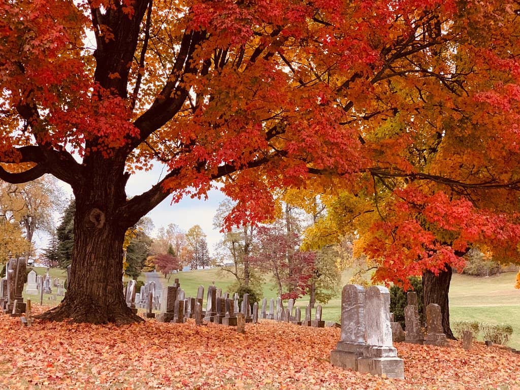 Confederate Monument