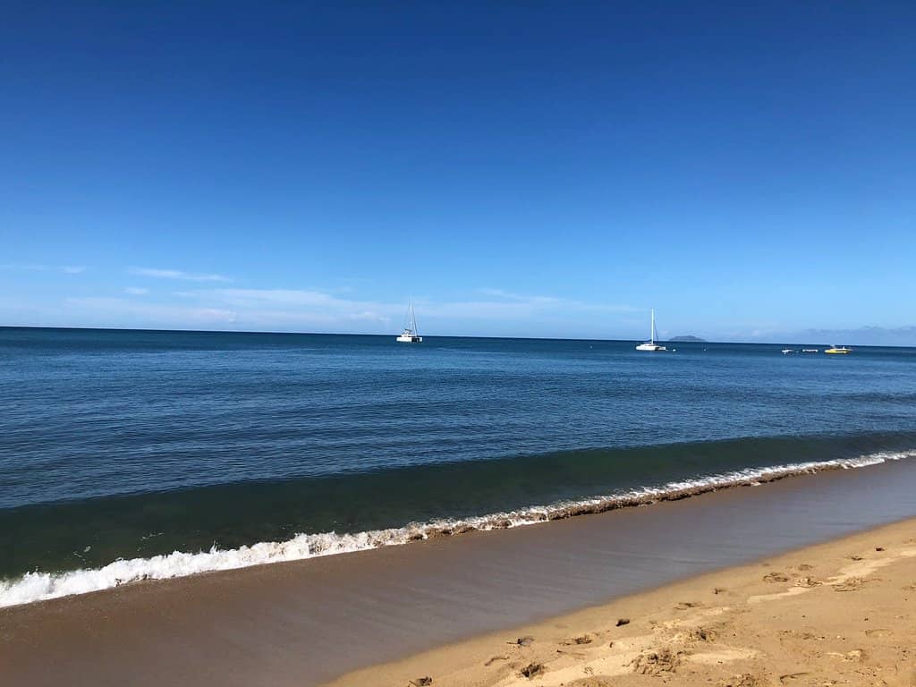 Marine Life Encounters