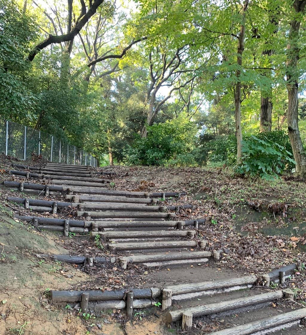 Playgrounds & Sandbox