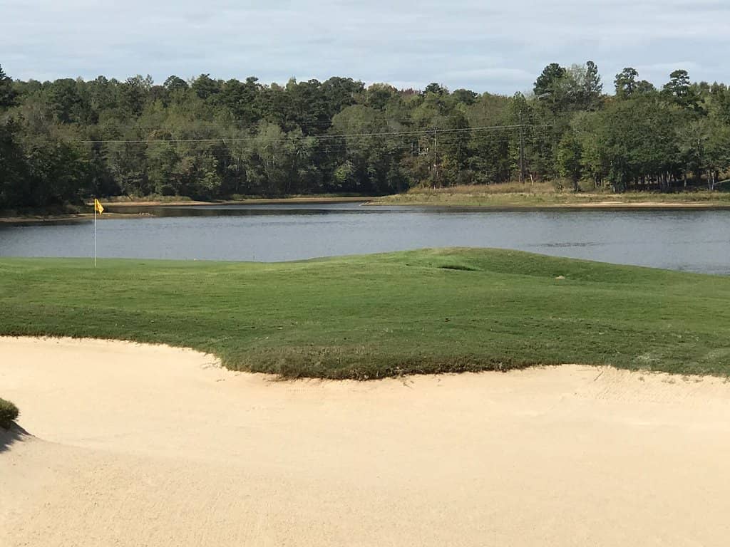 The Short Course Fun