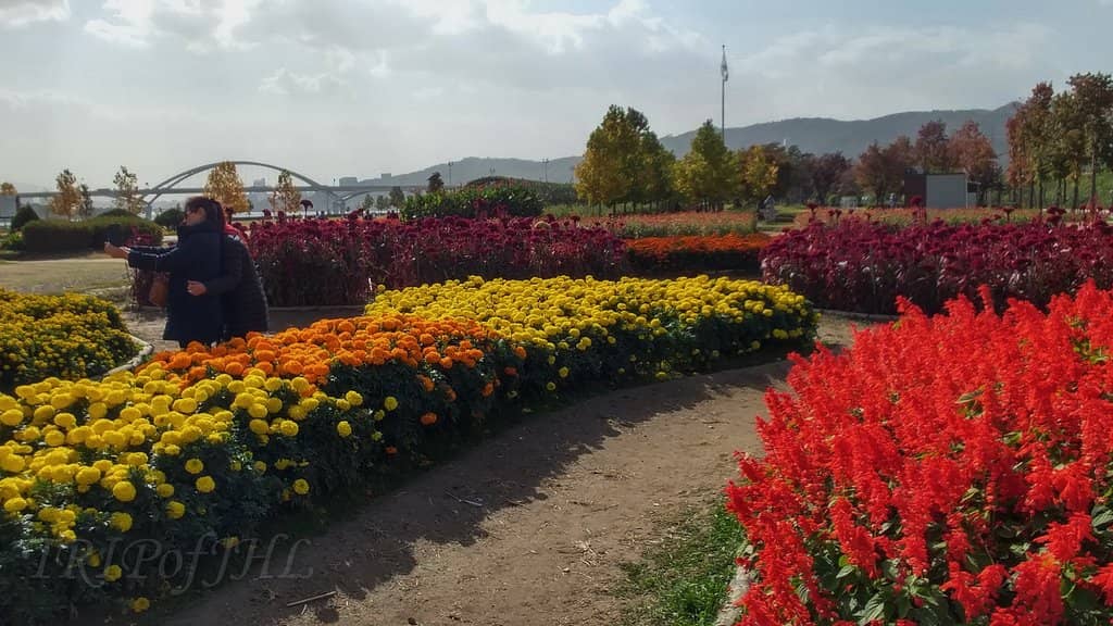 Picnic & Camping Spots