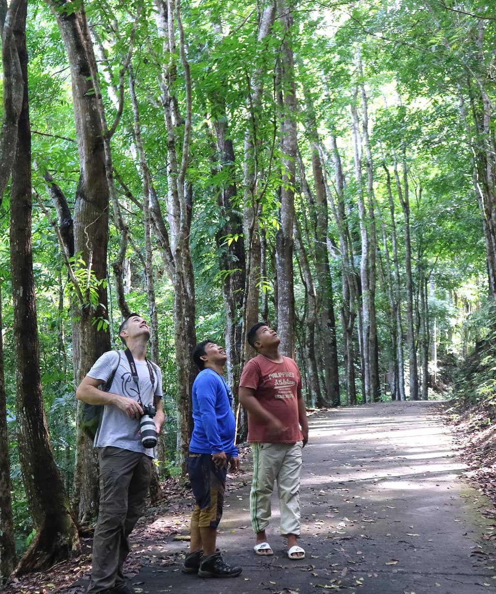 Night Safari Adventure