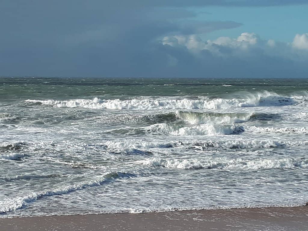 Low Tide Exploration