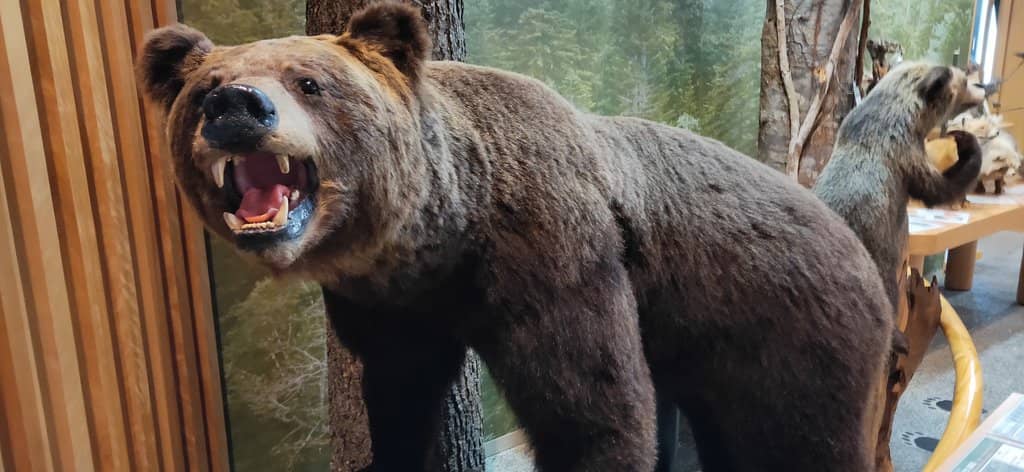 Kurodake Trail Video Guide