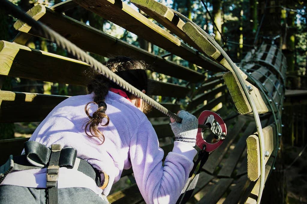 Treetop Rope Circuits