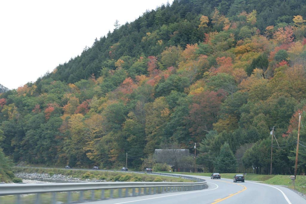 Mountain Biking Trails