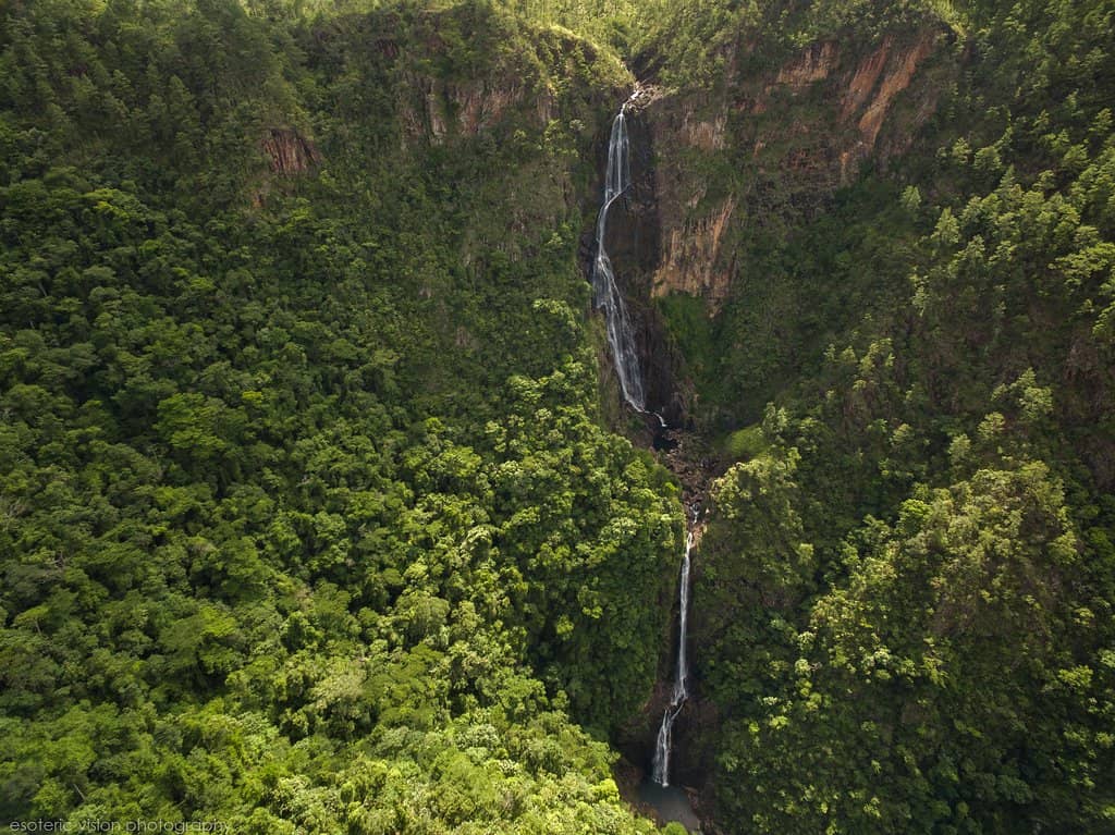 Lookout Platform Views
