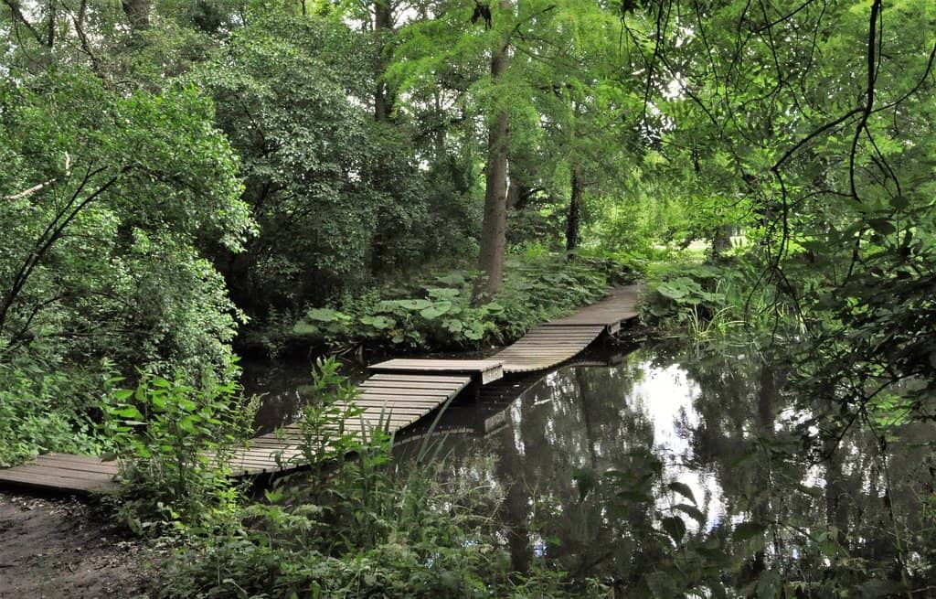 Unique Plant Collection