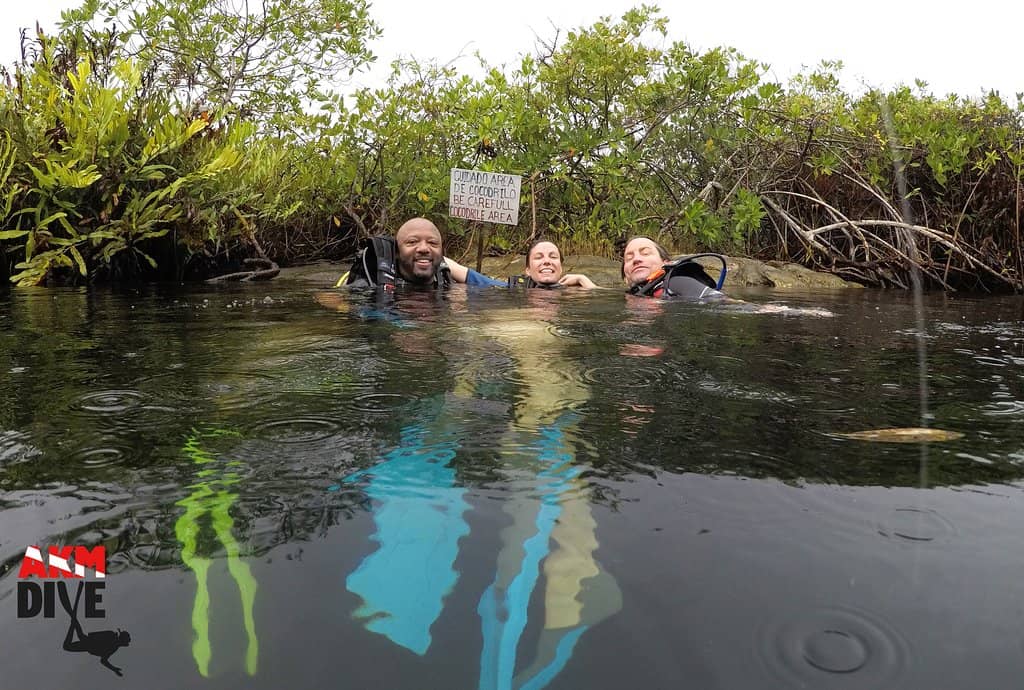 Explore the Sea Connection Tunnel