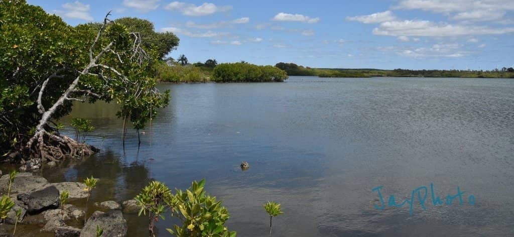 Community Gatherings