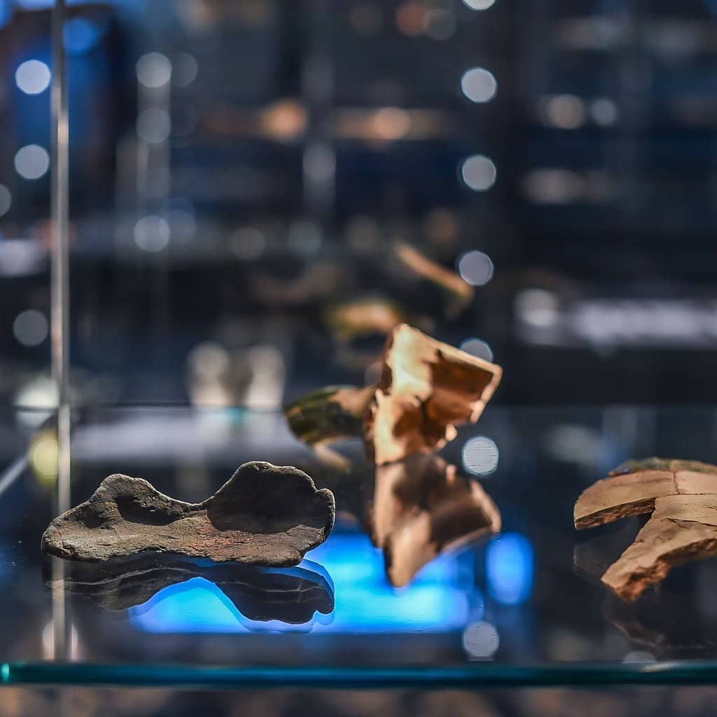 Trade Route & Interconnectedness