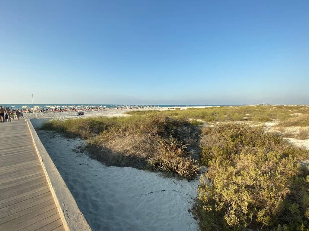 Luxurious Beach Clubs