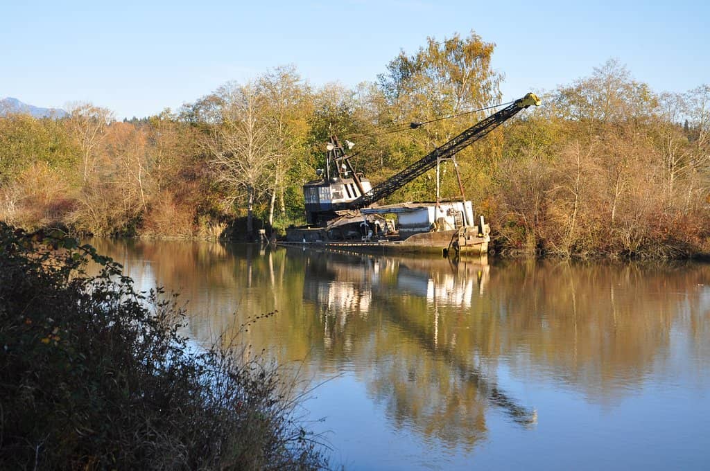 Birdwatcher's Paradise