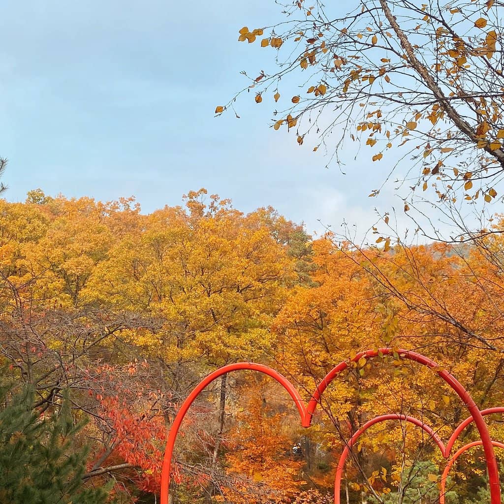 Diverse Themed Gardens