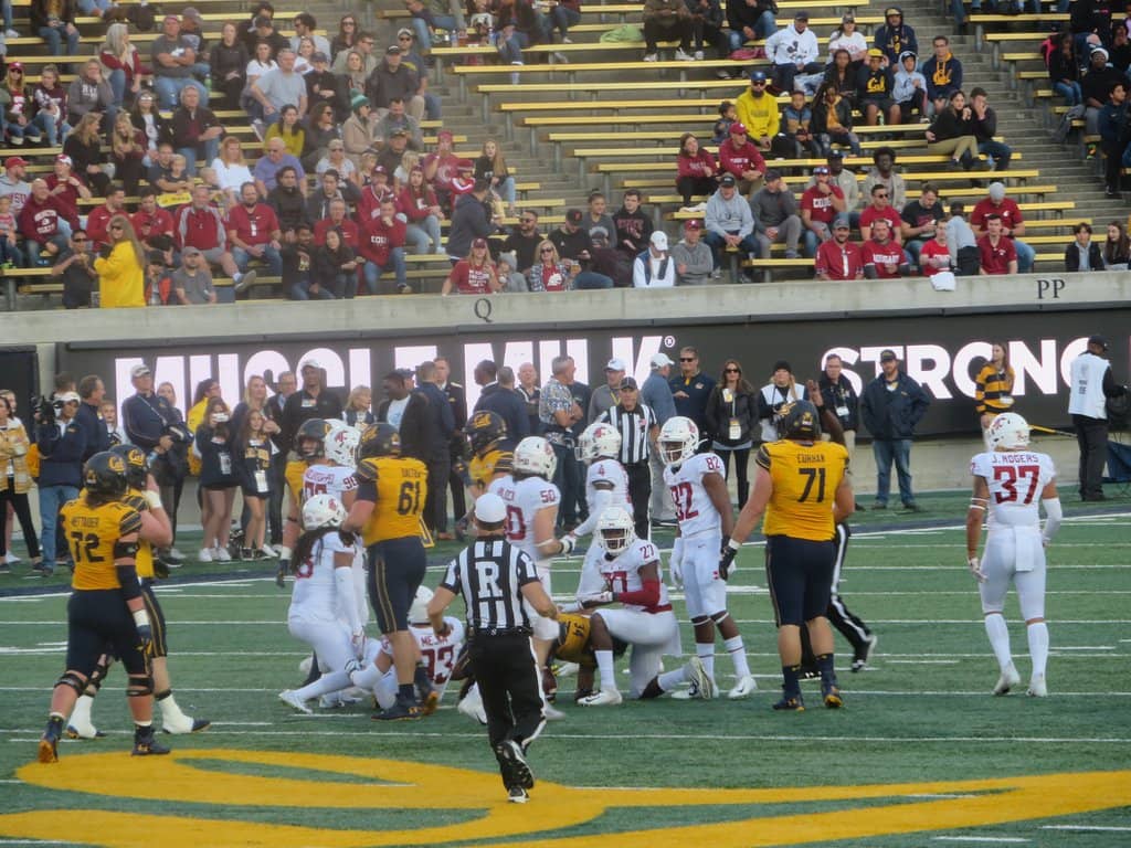 Highlights
